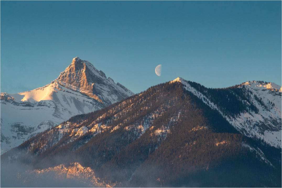 Main image The First Light.