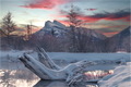 Main image Winter’s Silent Awakening.