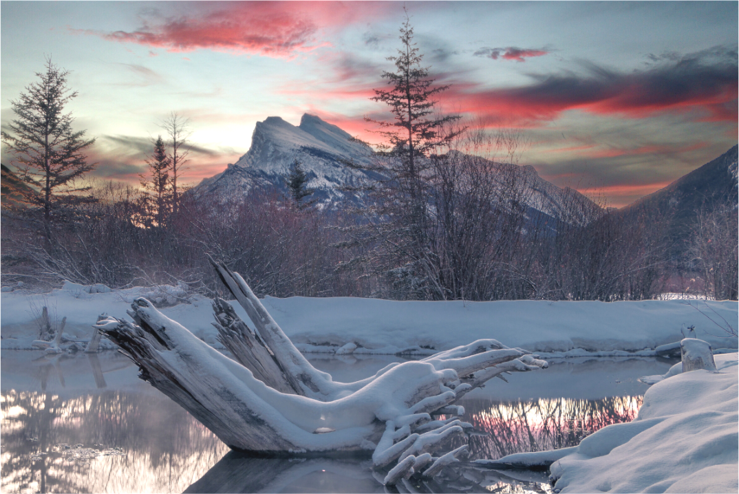 Main image Winter’s Silent Awakening.