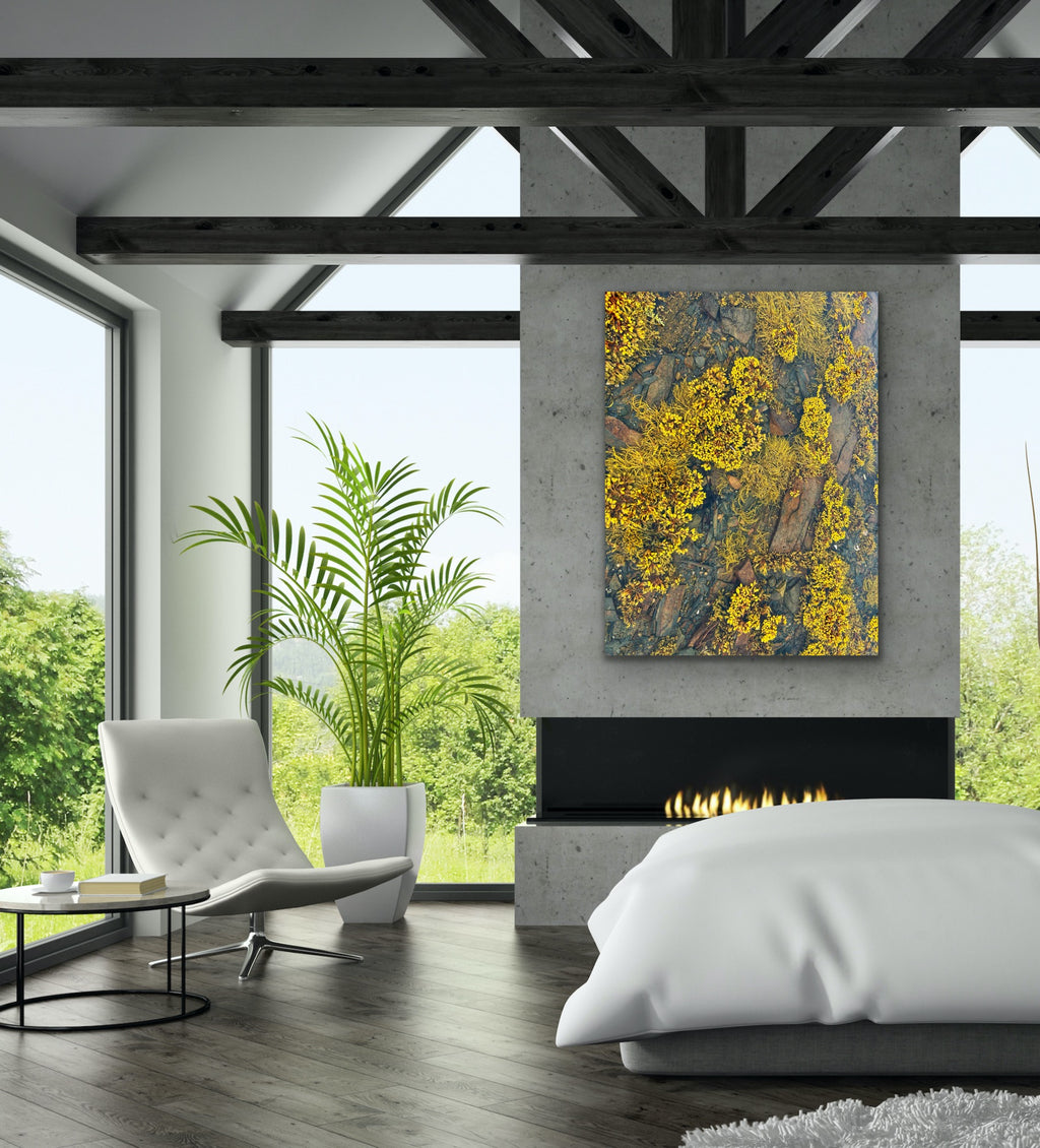 Low Tide Tapestry