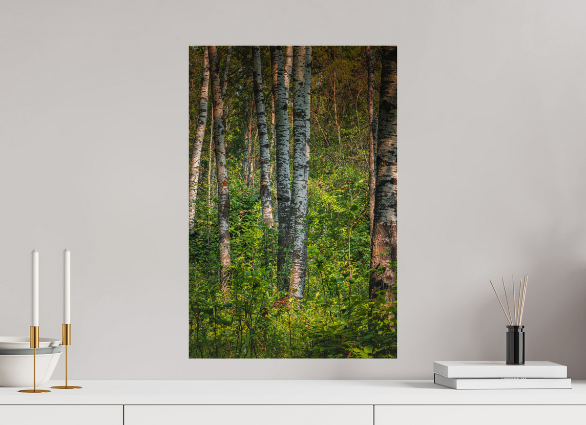 40 x 60 cm, Photo Print Under Acrylic Glass Sylvan Reverie